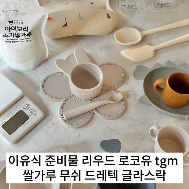  이유식 준비물 리우드 로코유 tgm 쌀가루 무쉬 드레텍 글라스락