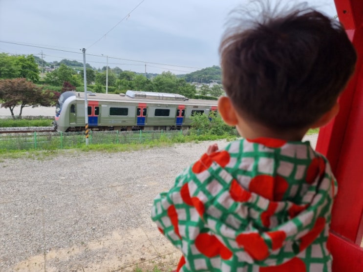 파주 문산 기차가 보이는 대형카페 온더레일에서 아이와 함께 기찻길 구경 파주 문산 기차가 보이는 대형카페 온더레일에서 아이와 함께 기찻길 구경