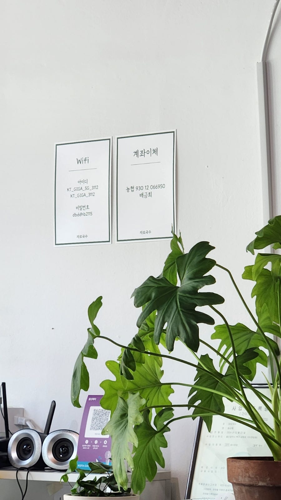 자모국수 사진 5