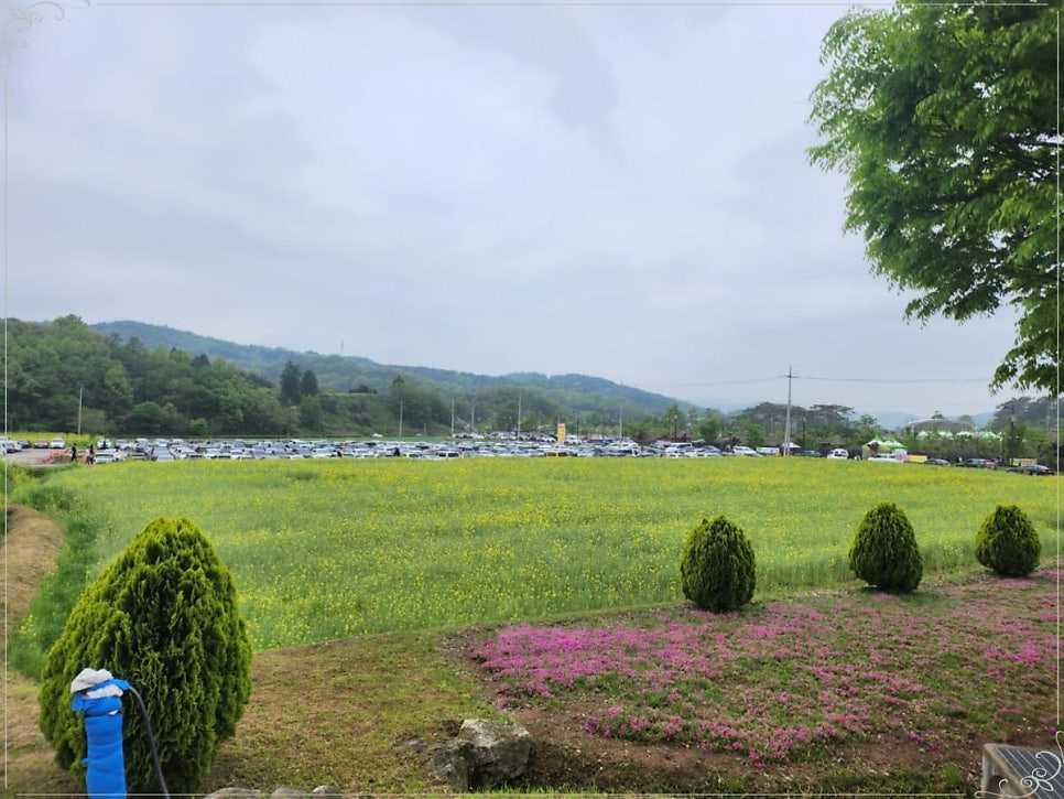모산고인돌한옥민박 사진 6