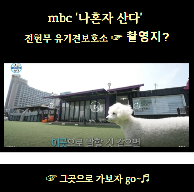 mbc나혼자산다 <b>전현무 유기견</b>보호소 촬영지주소전화 <b>입양</b>봉사... 