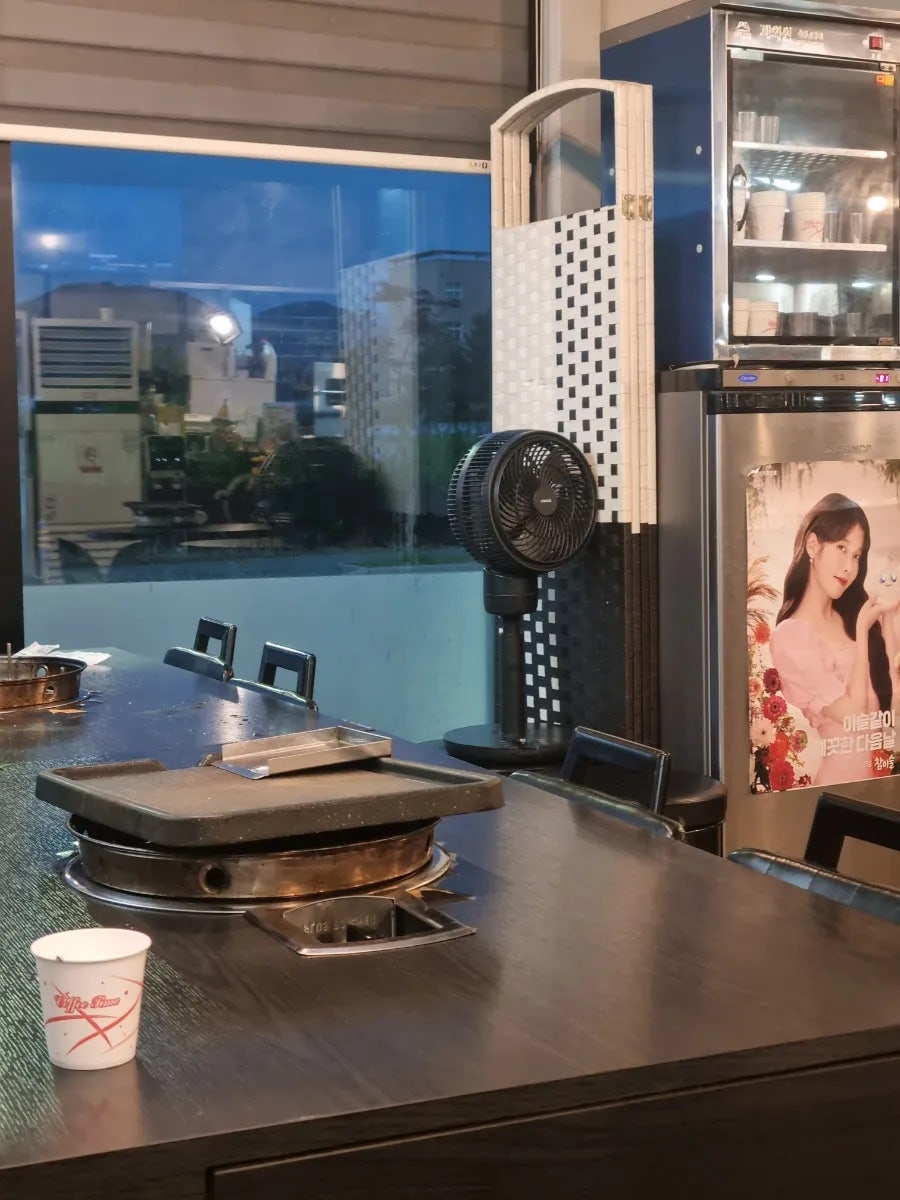 뚱돼지 사진 2