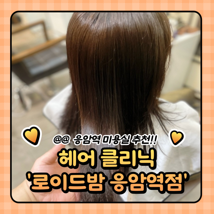  응암역 미용실 추천 : 로이드밤 응암점 헤어클리닉 후기