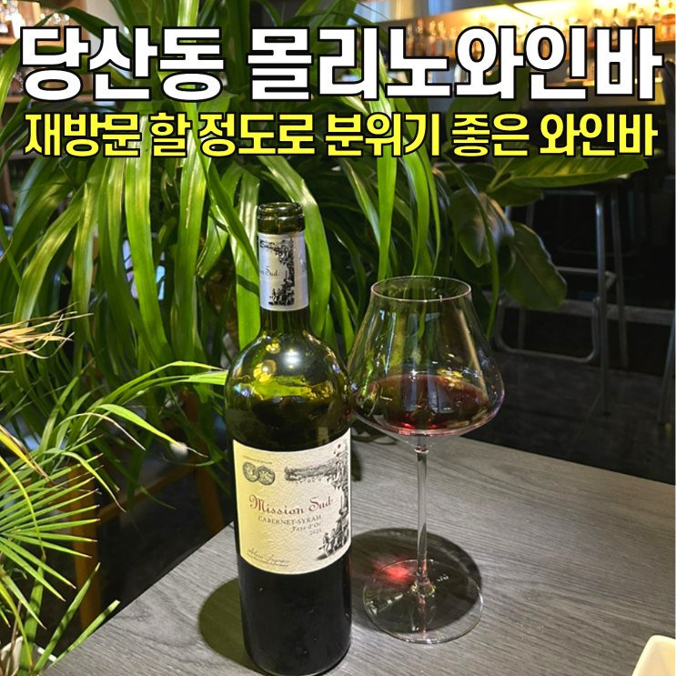  [영등포술집] 몰리노와인바 / 분위기 좋은 당산동술집 영등포와인바