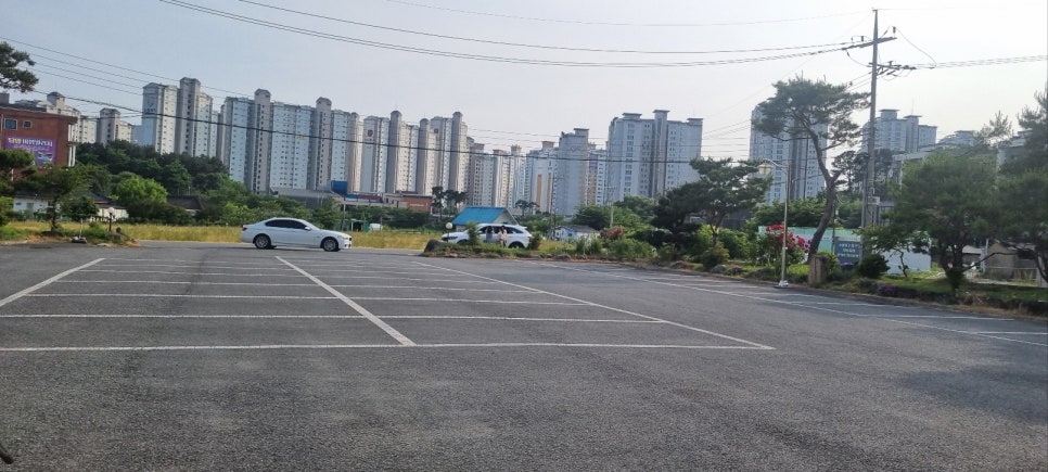 뽐뿌민물장어 사진 2