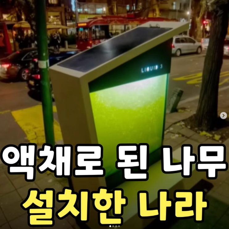  액체로 된 나무 설치한 나라