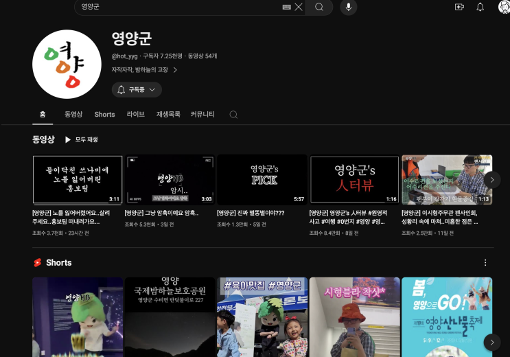  [영양군 홍보] 영양군 유튜브 채널 그리고 최근의 화제 feat. 피식대학