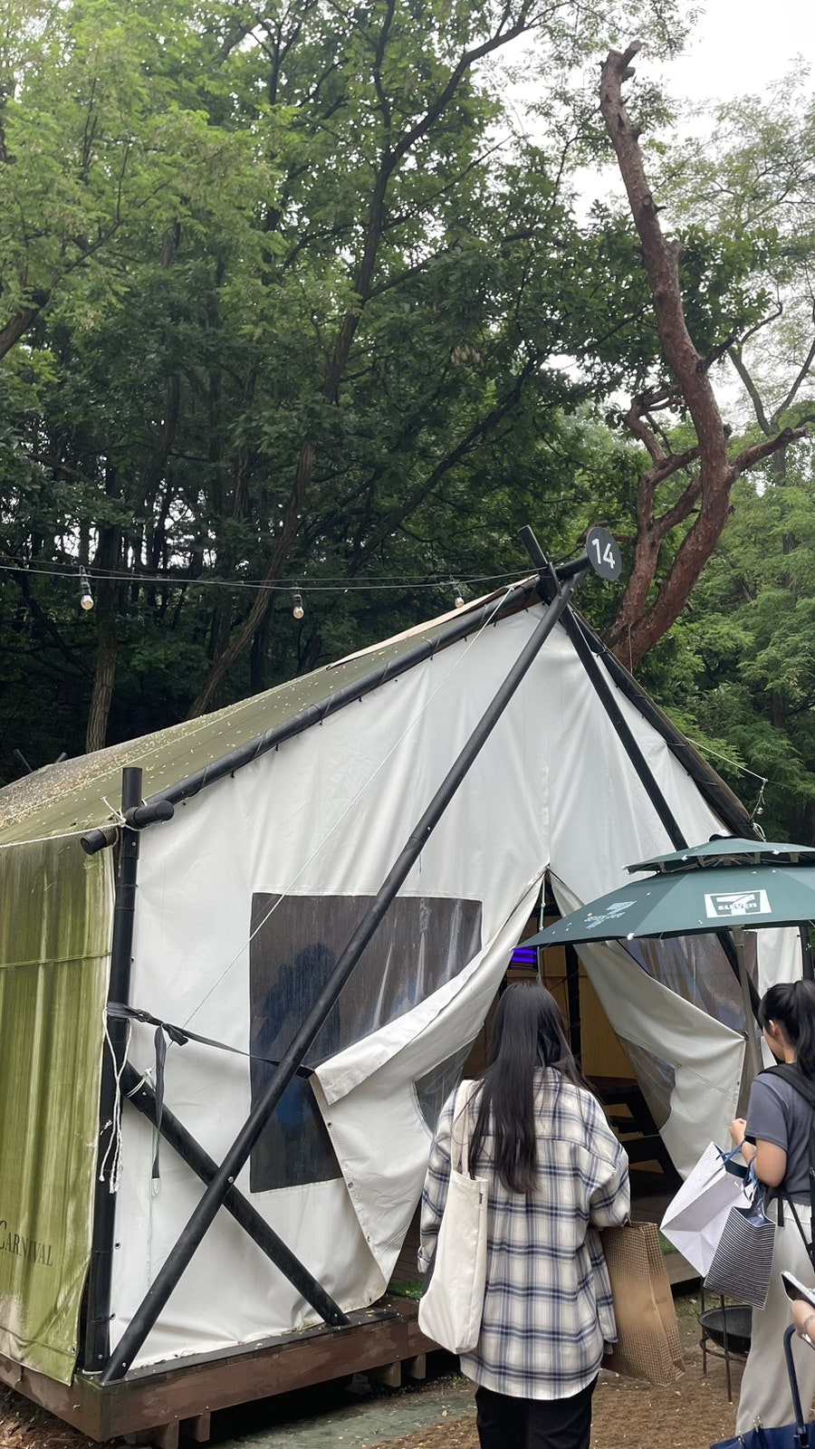 양지파인리조트 숲속글램핑장 사진 4