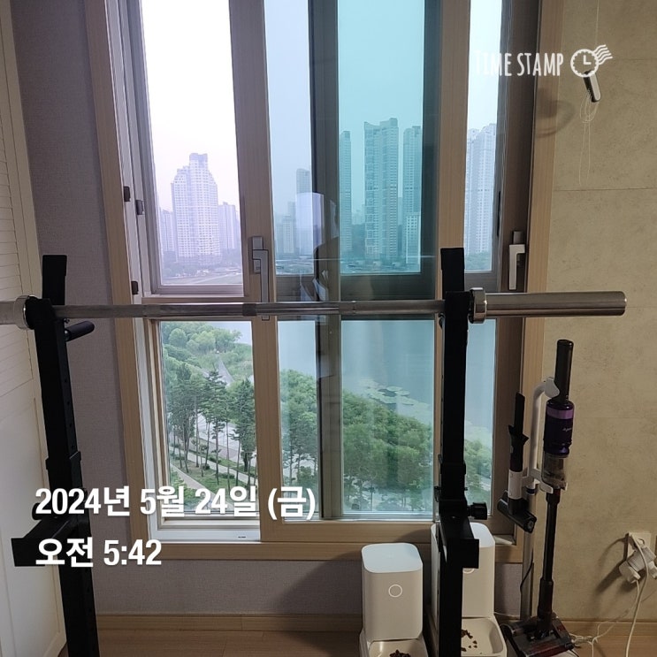  [운동기록]24년 5월 24일 출근 전 운동, 보조 턱걸이(풀업), 바벨컬, 리스트컬