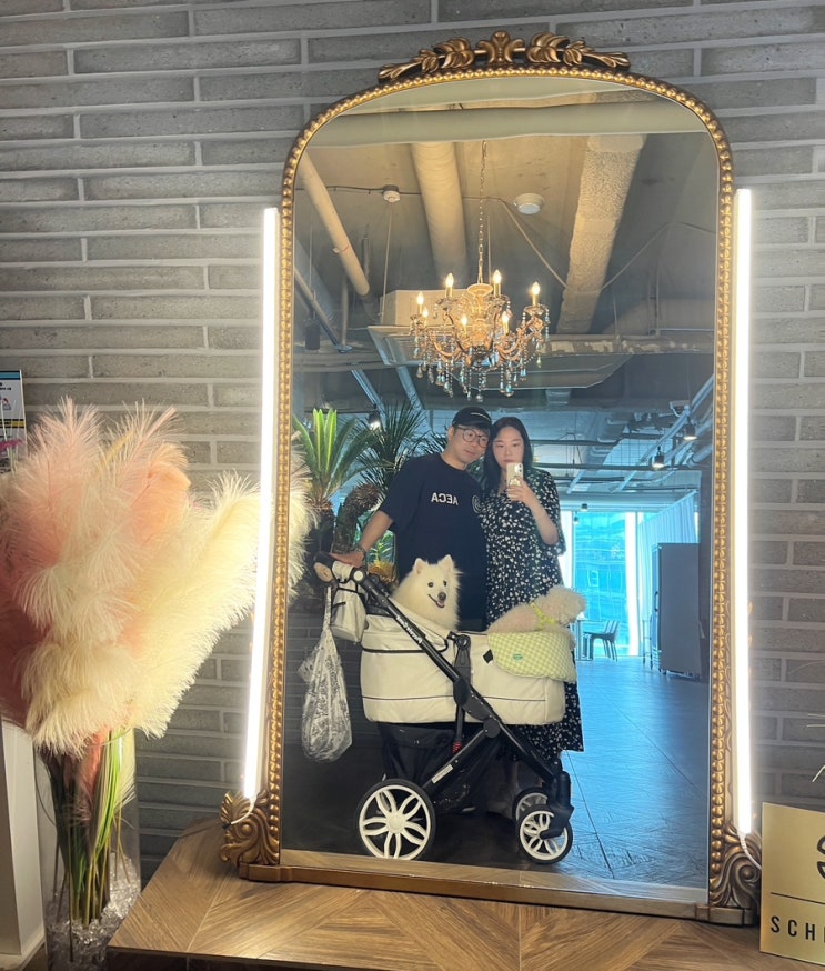 부산 해운대 애견동반 분위기 좋은 데이트코스 부산 해운대 애견동반 분위기 좋은 데이트코스
