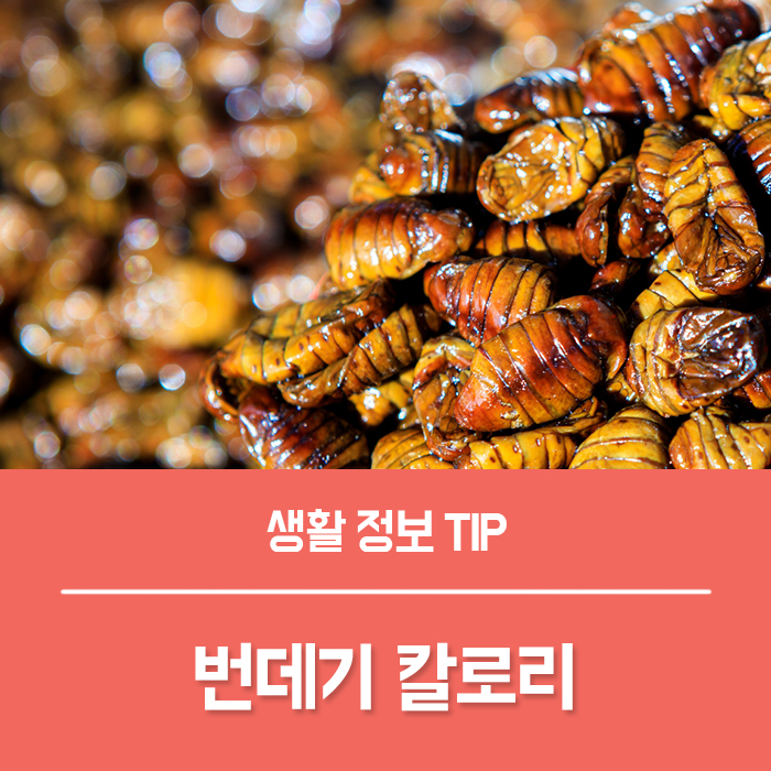  번데기 효능 BEST4, 부작용 고단백질 음식 번데기 칼로리는?
