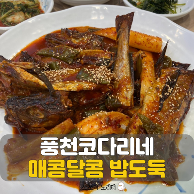  암사동 맛집 집밥메뉴추천 풍천코다리네 주차, 예약