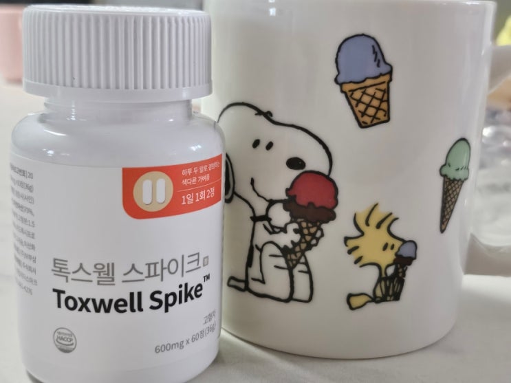  (내돈내산)혈당도 잡아주는 다이어트 톡스웰스파이크
