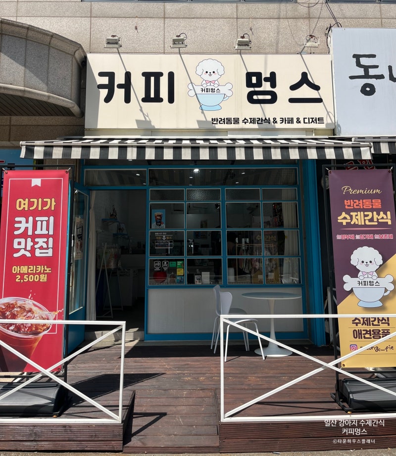 사진 6