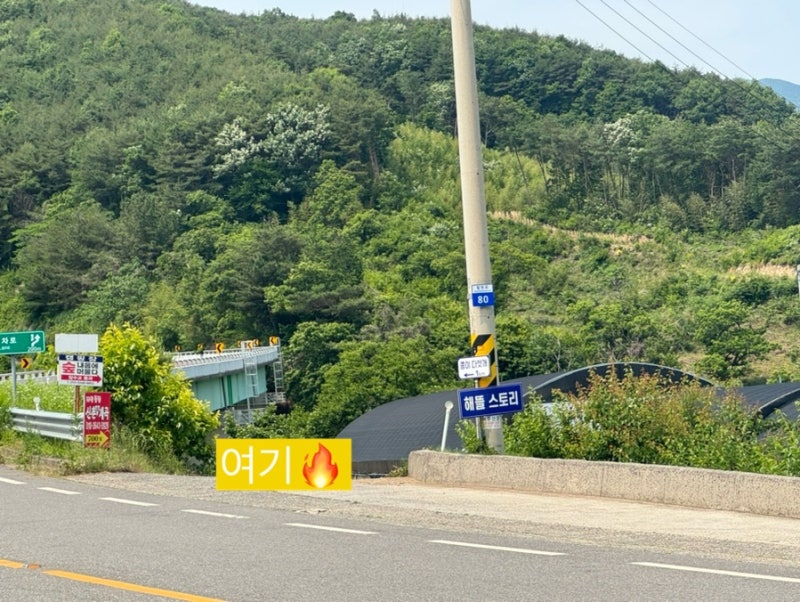 사진 5