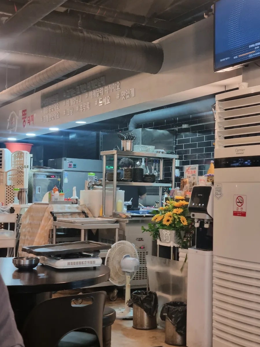 뚱돼지 사진 3