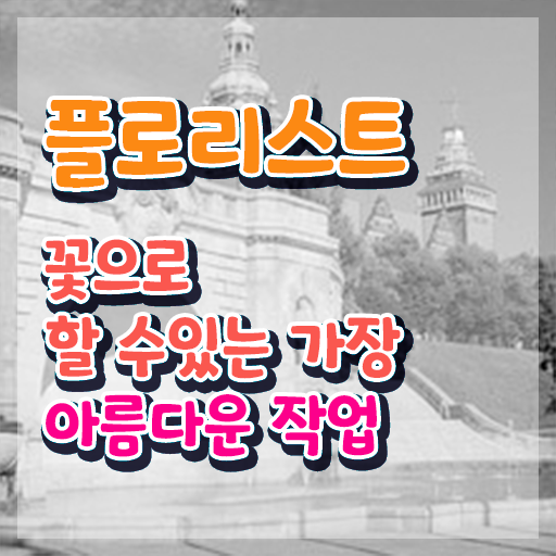  꽃꽂이방법 택배 , 플로리스트 자격증 20일 만에 합격한 전략 , 온라인 무료강의