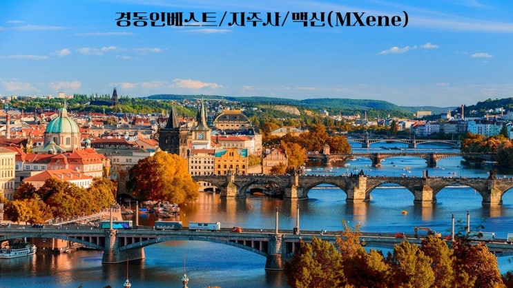  경동인베스트/지주사/맥신(MXene)