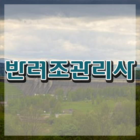  모란앵무 분양 , 반려조관리사 자격증 취득한 과정 여기만 보세요