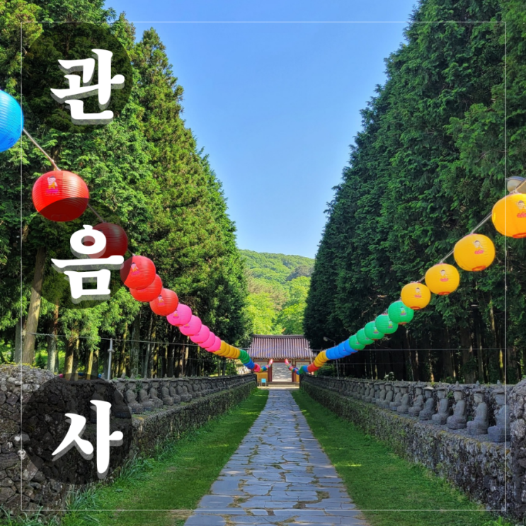  제주 관음사 제주불교의 중심 (ft. 이상한 변호사 우영우, 웰컴투 삼달리 촬영지)