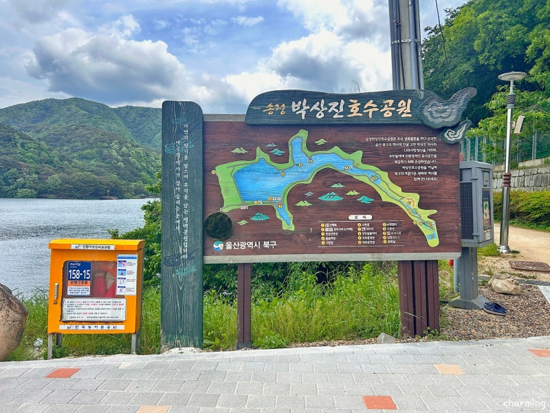 사진 5