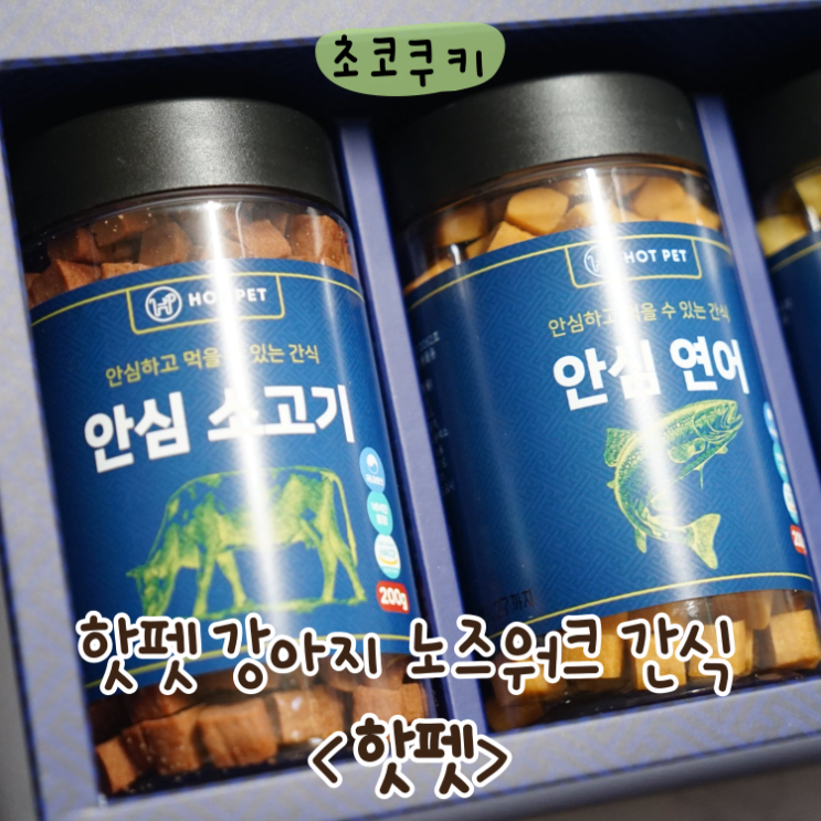 핫펫 강아지 노즈워크 간식 선물세트