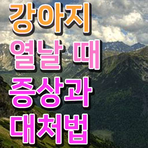  반려동물 등록 과태료 , 반려동물관리사 자격증 20일 만에 합격한 팁 확인하기