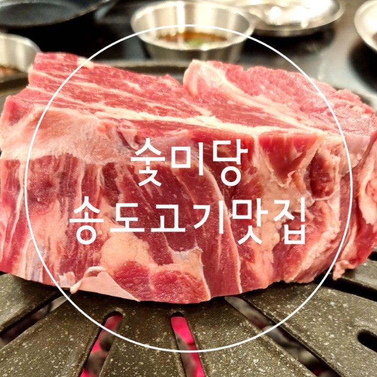  송도고깃집 가성비 센트럴파크맛집 숯미당