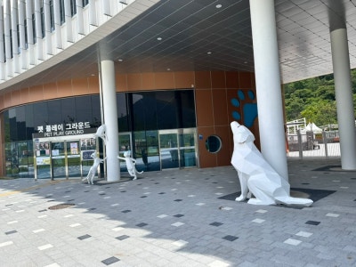 사진 6