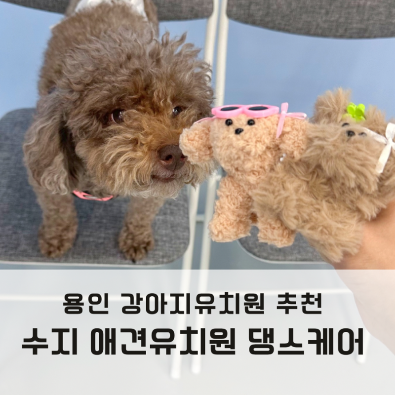 사진 5