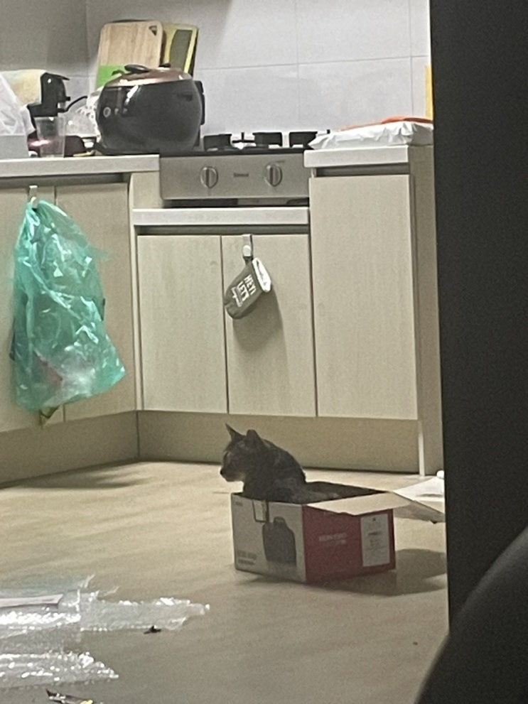  0526 감사일기