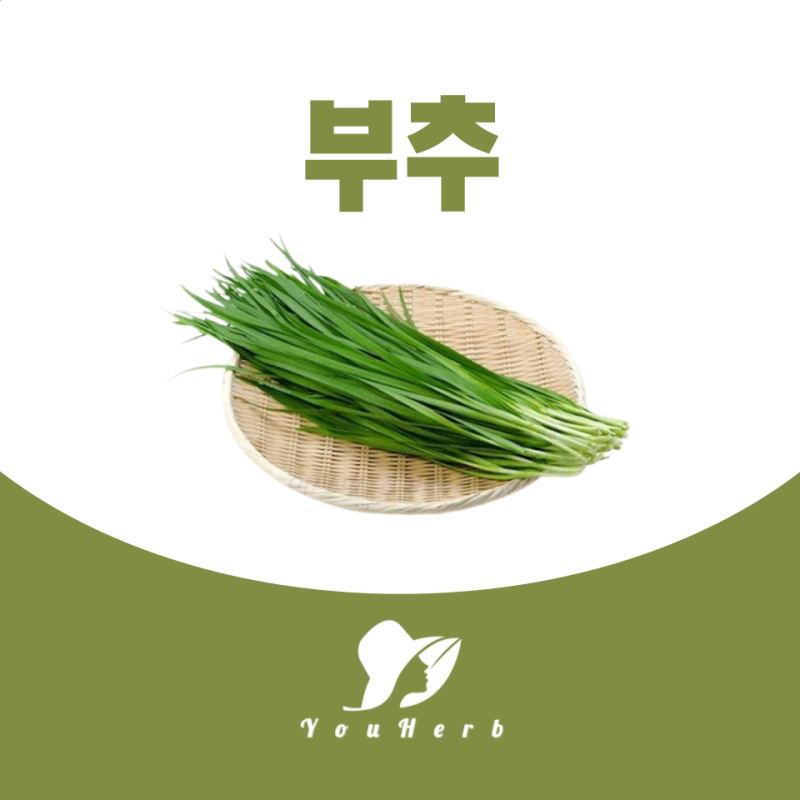 부추의 효능 및 부작용 칼로리 보관법 종결
