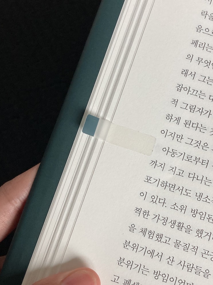  영원한 소년의 불충실한 에로스