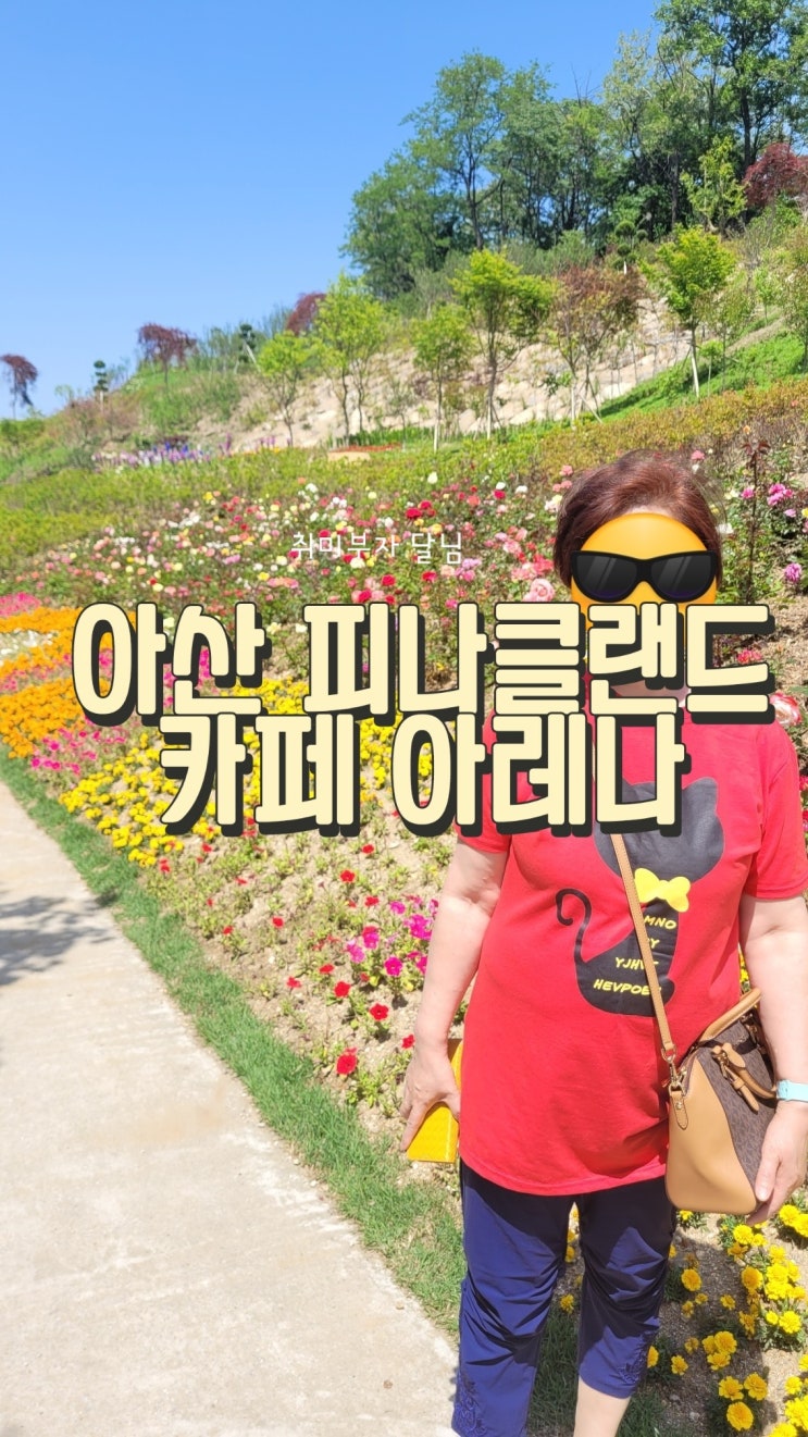  아산 당일치기 여행지 피나클랜드 대형 베이커리 카페 아레나
