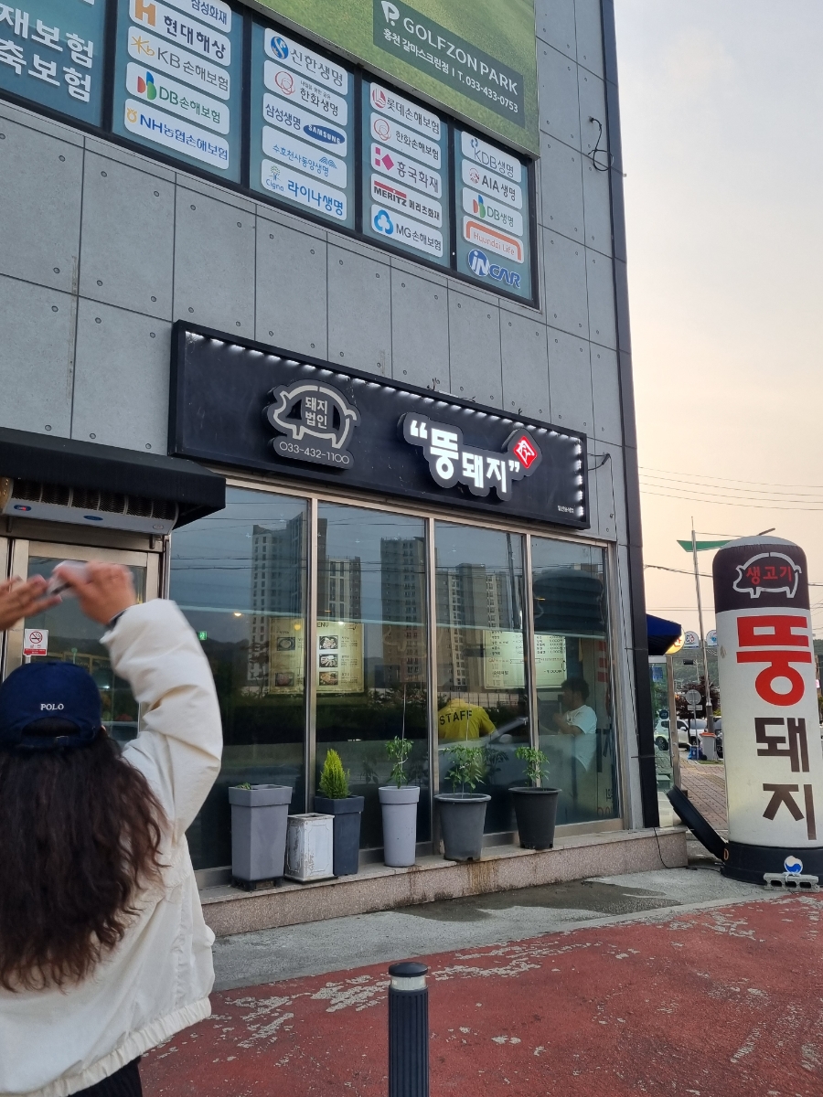 뚱돼지 사진 1