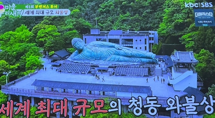 <b>미우새</b> 부벤져스 투어 신비의... 아빠 <b>김종국</b> 이동건 14억 복권... 