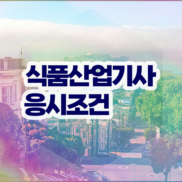  식품산업기사 필기공부 식품산업기사 자격요건 학점은행제로 15주만에 성공한 전략
