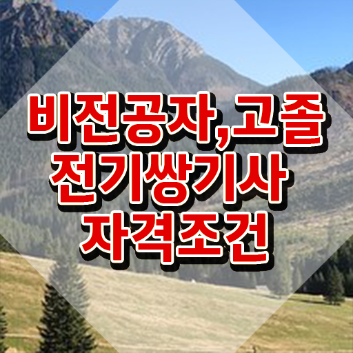  전기쌍기사 실기합격률 전기쌍기사 시험자격 인강만 듣고 4달만에 끝낸 방법