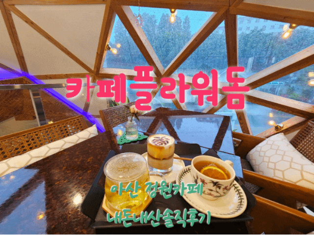  카페플라워돔 천안아산정원카페 내돈내산솔직후기