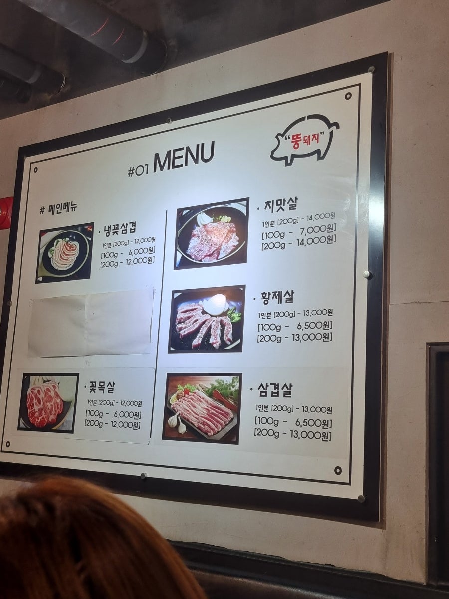 뚱돼지 사진 4