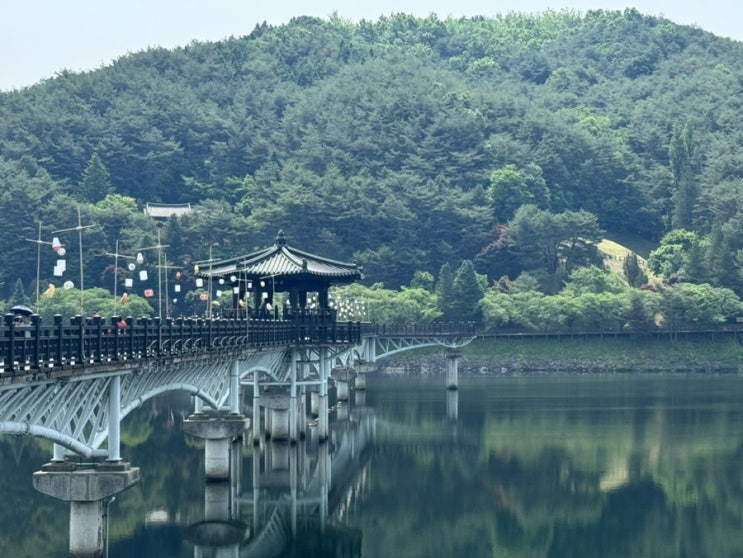  [안동]  만휴정과 함께 즐겨요 월령교,선어대생태공원,서울막창