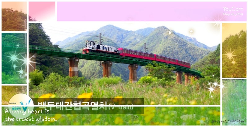 사진 2