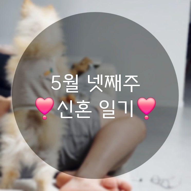  먹방요정 컴백, 5월 넷째 주 신혼 일상기록