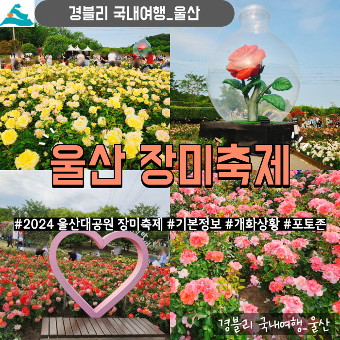  국내장미축제｜울산대공원 장미축제 기본정보, 주차, 장미원 개화상황, 포토존