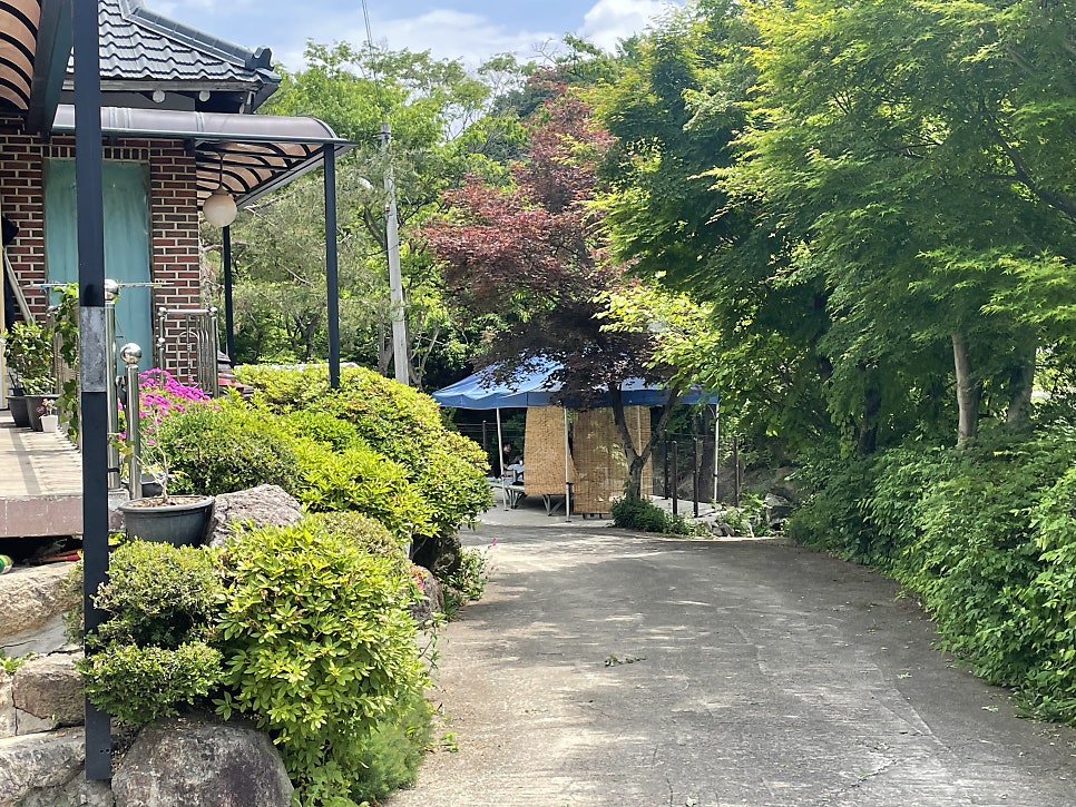 산촌계곡 사진 3