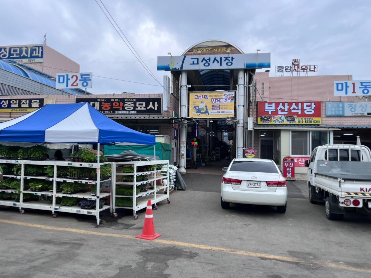  경남 고성 오일장 '고성시장'에 다녀왔어요.