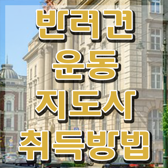  반려견운동지도사 강사 , 반려견운동지도사자격증 합격한 후기 , 시험노하우