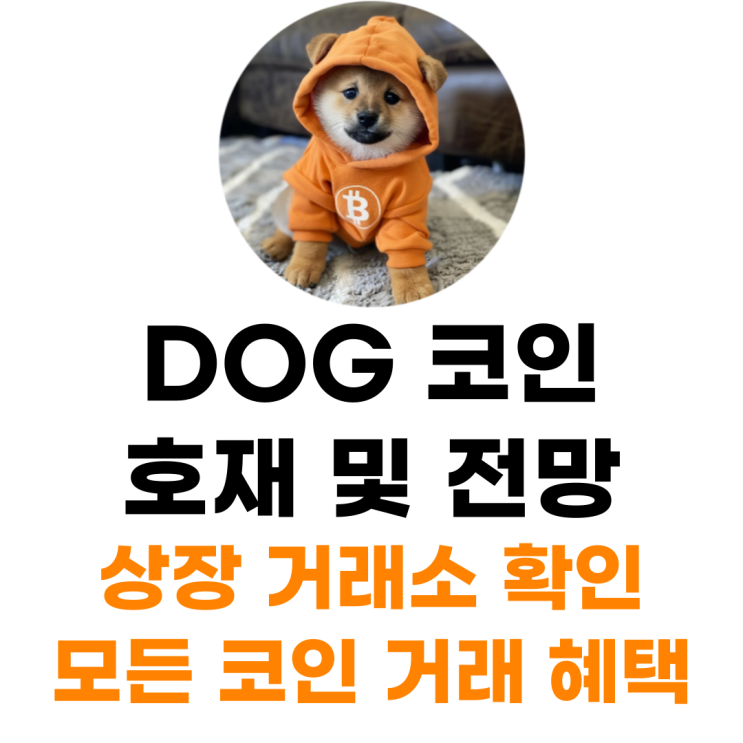  도그 DOG 코인 상장 거래소 사는 법 총정리