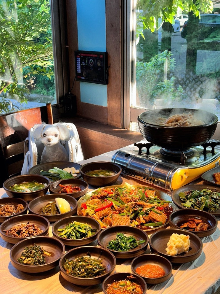  부산 기장 애견동반식당 장안 감골가든 백숙 계곡 정갈한 반찬 룸식당