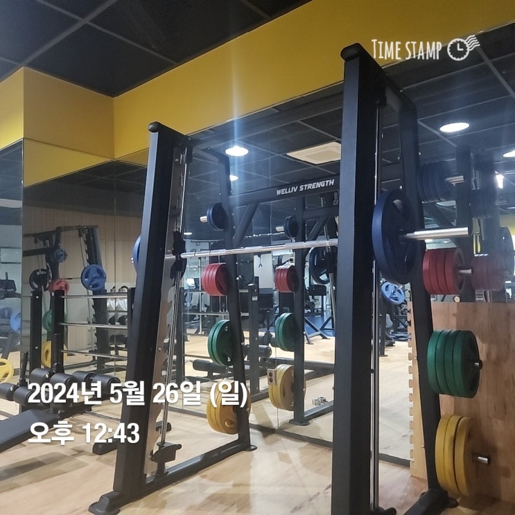  [운동기록]24년 5월 26일 중량 스쿼트, 벤치프레스, 렛풀다운, 마무리 숄더프레스 및 해머컬